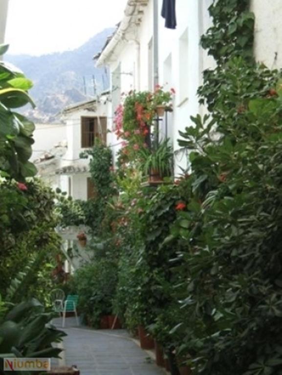 圭哈尔谢拉Vivienda Turistica Arabeluj公寓 外观 照片